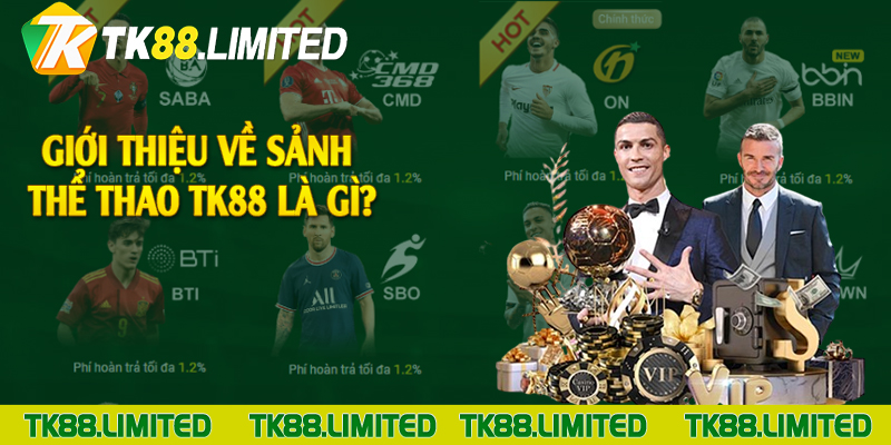 Giới thiệu về sảnh thể thao TK88 là gì?