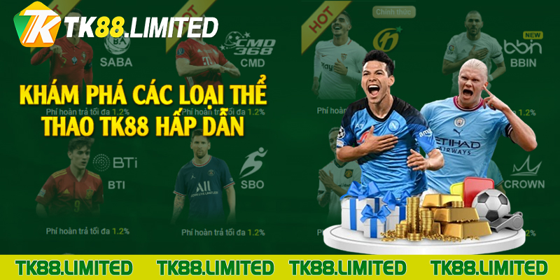 Khám phá các loại thể thao TK88 hấp dẫn